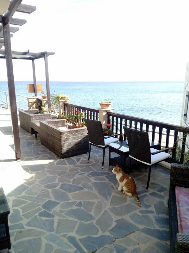 Coral Front Beach Káto Zákros Esterno foto
